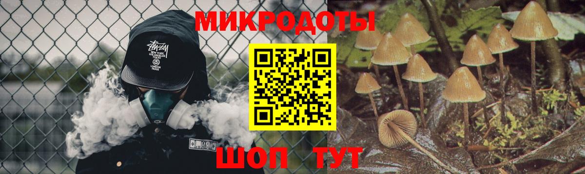 Псилоцибиновые грибы GOLDEN TEACHER Зима